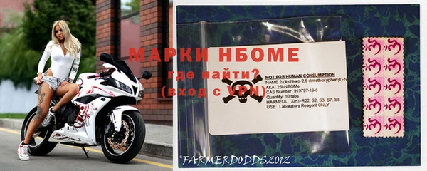 молекула духа Зерноград