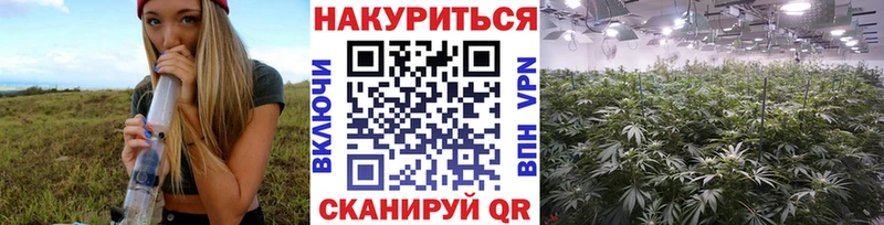 Бошки марихуана ГИДРОПОН Калач